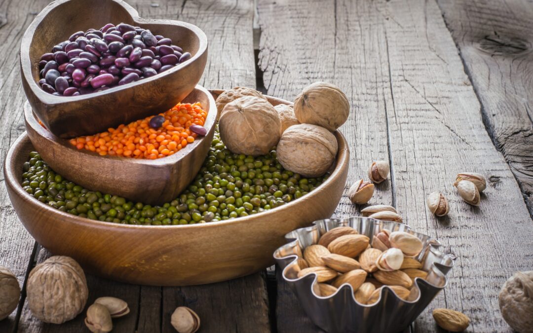 Sources of vegetable protein. collection of various legumes and nuts.