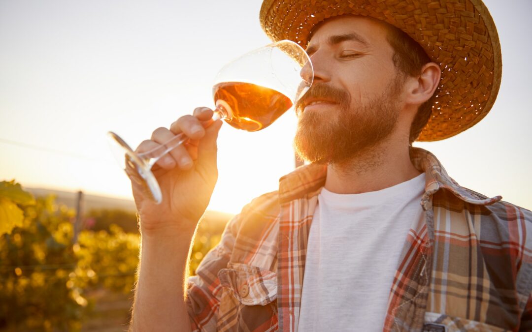 Dégustation de vins